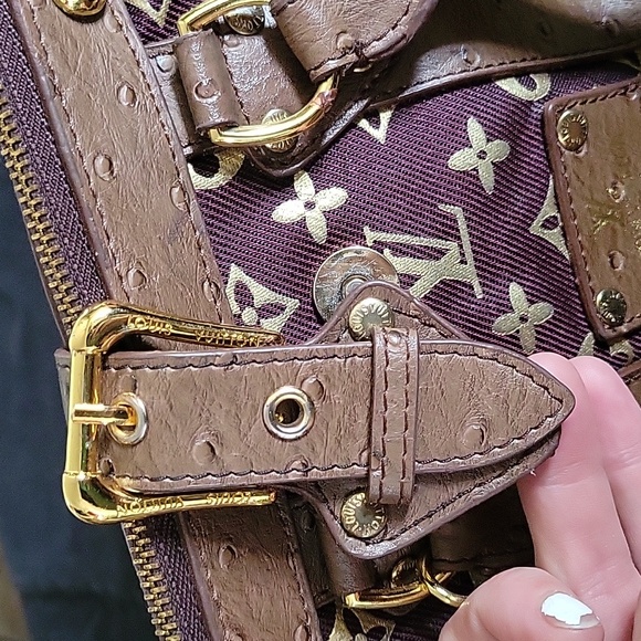 Louis Vuitton Mini Bag in Brown and Gold - Picture 12 of 13